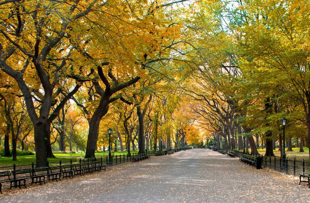 okpartiamo-new-york (4)